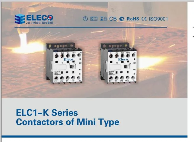 Hot Sale Thermal Overload Relay with CE Eth Series